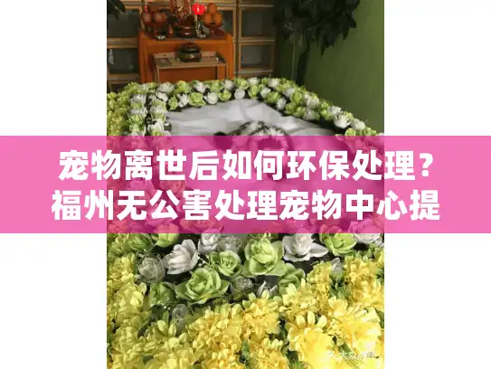 宠物离世后如何环保处理？福州无公害处理宠物中心提供专业方案