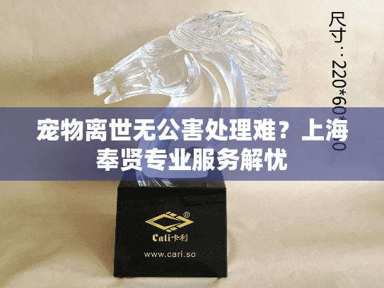 宠物离世无公害处理难？上海奉贤专业服务解忧