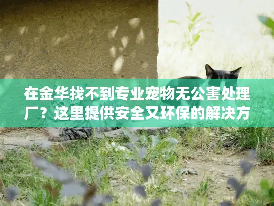 在金华找不到专业宠物无公害处理厂？这里提供安全又环保的解决方案