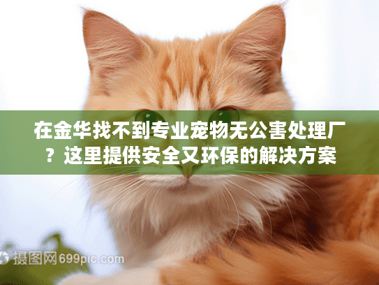 在金华找不到专业宠物无公害处理厂？这里提供安全又环保的解决方案