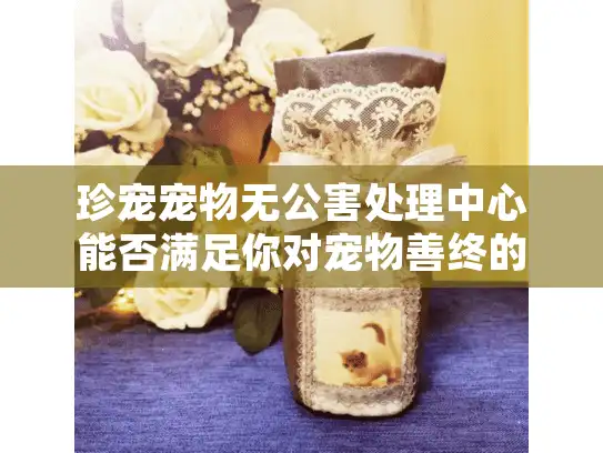 珍宠宠物无公害处理中心能否满足你对宠物善终的贴心需求？