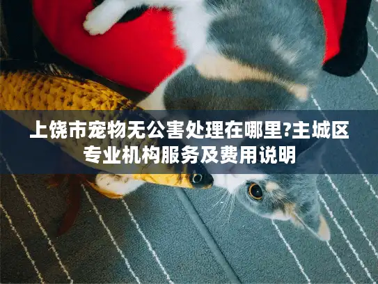 上饶市宠物无公害处理在哪里?主城区专业机构服务及费用说明 上饶市宠物无公害处理在哪里?主城区专业机构服务及费用说明