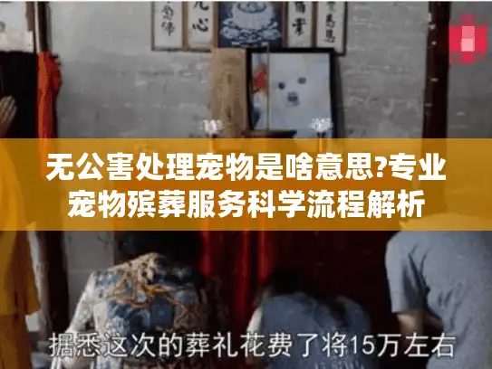 无公害处理宠物是啥意思?专业宠物殡葬服务科学流程解析