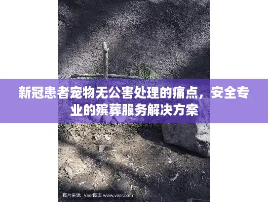 新冠患者宠物无公害处理的痛点，安全专业的殡葬服务解决方案