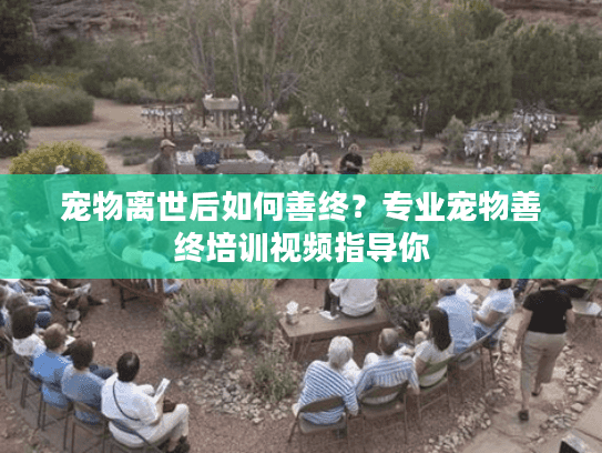 宠物离世后如何善终？专业宠物善终培训视频指导你