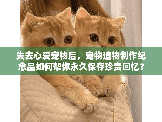 失去心爱宠物后，宠物遗物制作纪念品如何帮你永久保存珍贵回忆？