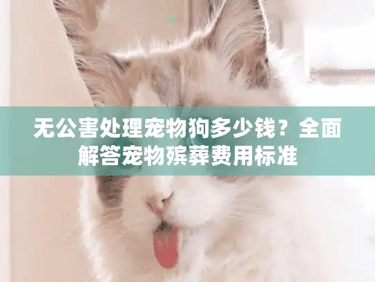 无公害处理宠物狗多少钱？全面解答宠物殡葬费用标准