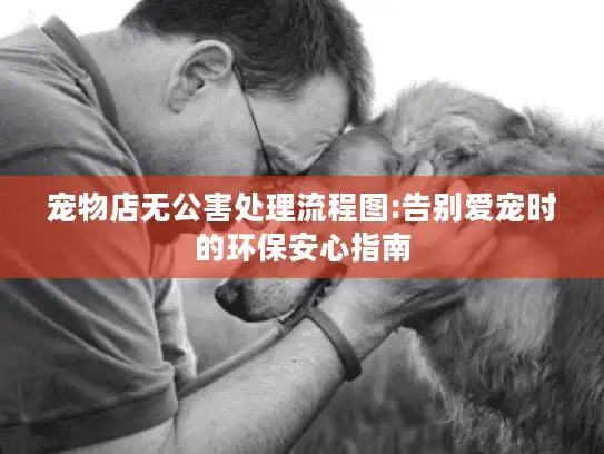 宠物店无公害处理流程图:告别爱宠时的环保安心指南