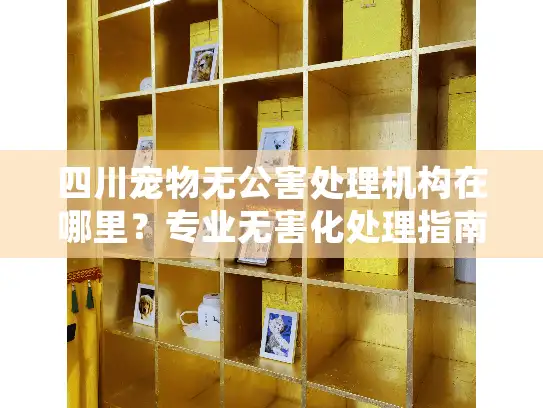 四川宠物无公害处理机构在哪里?专业无害化处理指南 四川宠物无公害处理机构在哪里?专业无害化处理指南