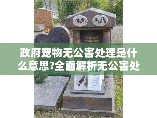 政府宠物无公害处理是什么意思?全面解析无公害处理流程 政府宠物无公害处理是什么意思?全面解析无公害处理流程