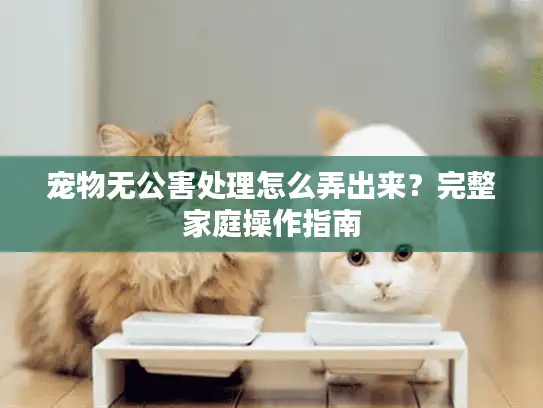 宠物无公害处理怎么弄出来?完整家庭操作指南 宠物无公害处理怎么弄出来?完整家庭操作指南