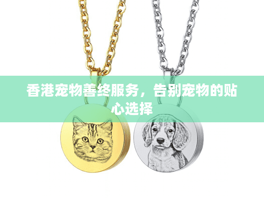 香港宠物善终服务，告别宠物的贴心选择