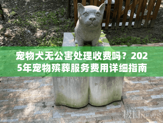 宠物犬无公害处理收费吗？2025年宠物殡葬服务费用详细指南