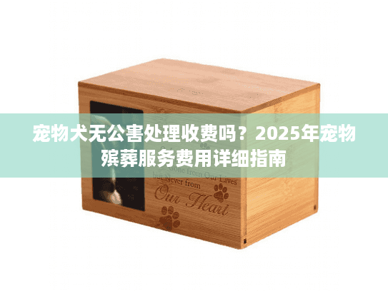 宠物犬无公害处理收费吗？2025年宠物殡葬服务费用详细指南