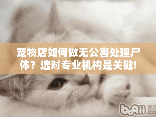 宠物店如何做无公害处理尸体？选对专业机构是关键!