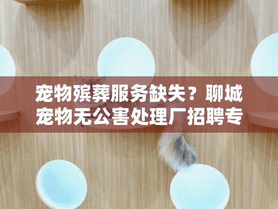 宠物殡葬服务缺失？聊城宠物无公害处理厂招聘专员