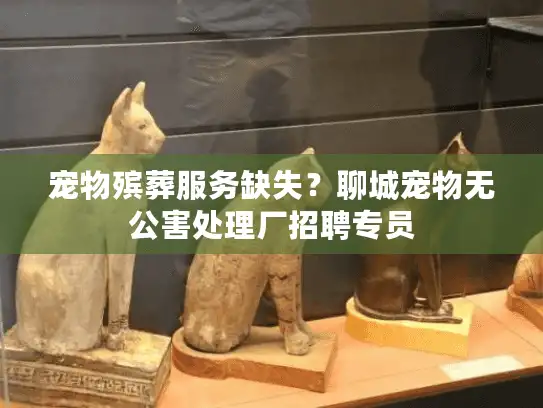 宠物殡葬服务缺失？聊城宠物无公害处理厂招聘专员