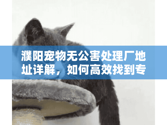 濮阳宠物无公害处理厂地址详解，如何高效找到专业服务点？