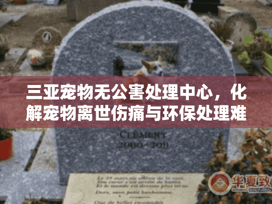 三亚宠物无公害处理中心,化解宠物离世伤痛与环保处理难题 三亚宠物无公害处理中心,化解宠物离世伤痛与环保处理难题