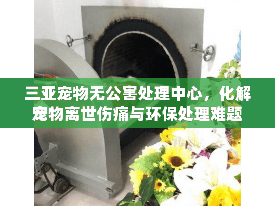 三亚宠物无公害处理中心,化解宠物离世伤痛与环保处理难题 三亚宠物无公害处理中心,化解宠物离世伤痛与环保处理难题