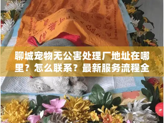 聊城宠物无公害处理厂地址在哪里?怎么联系?最新服务流程全公开 聊城宠物无公害处理厂地址在哪里?怎么联系?最新服务流程全公开
