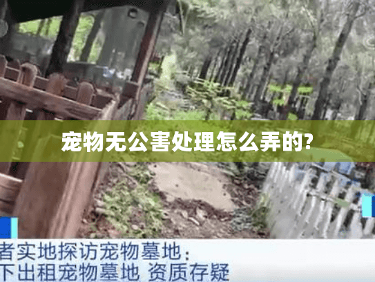 宠物无公害处理怎么弄的?