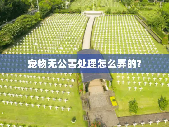 宠物无公害处理怎么弄的?