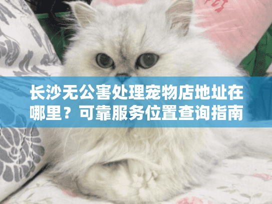 长沙无公害处理宠物店地址在哪里?可靠服务位置查询指南 长沙无公害处理宠物店地址在哪里?可靠服务位置查询指南