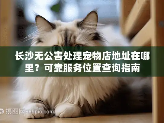 长沙无公害处理宠物店地址在哪里？可靠服务位置查询指南
