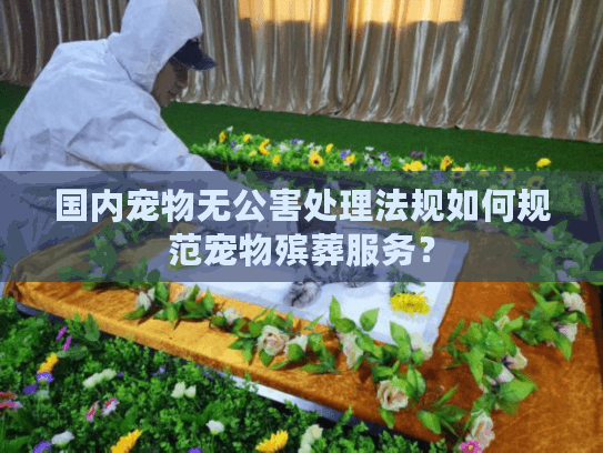 国内宠物无公害处理法规如何规范宠物殡葬服务？