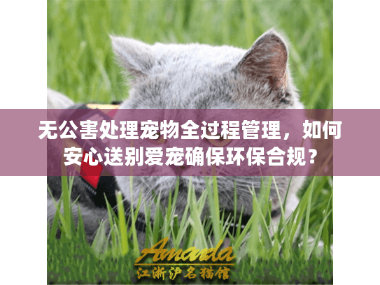 无公害处理宠物全过程管理,如何安心送别爱宠确保环保合规? 无公害处理宠物全过程管理,如何安心送别爱宠确保环保合规?
