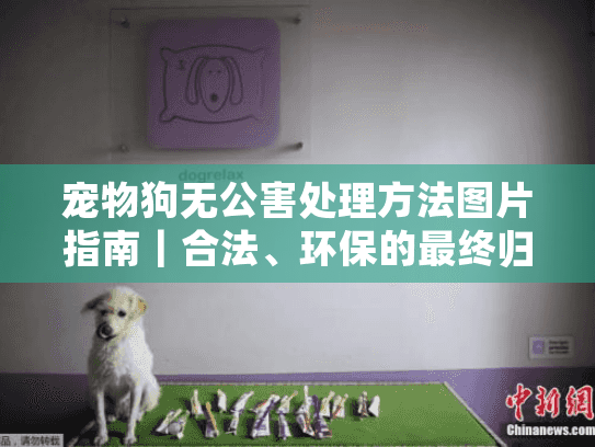 宠物狗无公害处理方法图片指南|合法、环保的最终归宿如何选? 宠物狗无公害处理方法图片指南|合法、环保的最终归宿如何选?