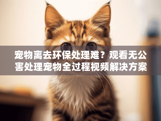 宠物离去环保处理难?观看无公害处理宠物全过程视频解决方案 宠物离去环保处理难?观看无公害处理宠物全过程视频解决方案