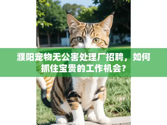 濮阳宠物无公害处理厂招聘,如何抓住宝贵的工作机会? 濮阳宠物无公害处理厂招聘,如何抓住宝贵的工作机会?
