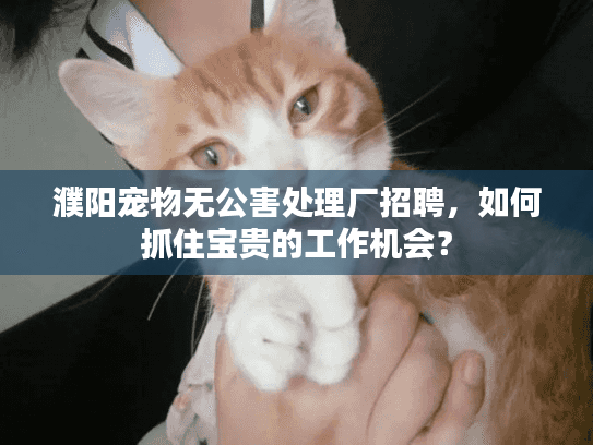 濮阳宠物无公害处理厂招聘,如何抓住宝贵的工作机会? 濮阳宠物无公害处理厂招聘,如何抓住宝贵的工作机会?