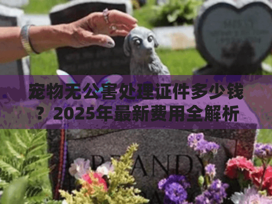 宠物无公害处理证件多少钱？2025年最新费用全解析