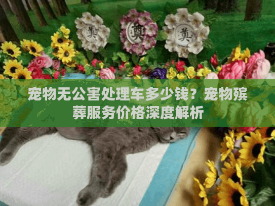 宠物无公害处理车多少钱？宠物殡葬服务价格深度解析