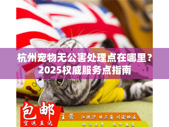 杭州宠物无公害处理点在哪里？2025权威服务点指南