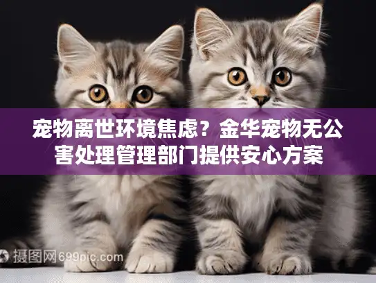 宠物离世环境焦虑？金华宠物无公害处理管理部门提供安心方案
