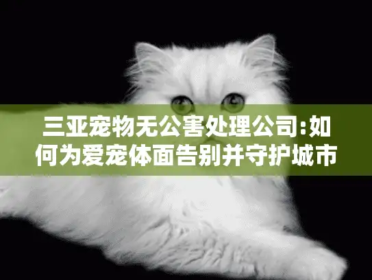 三亚宠物无公害处理公司:如何为爱宠体面告别并守护城市生态？