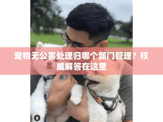 宠物无公害处理归哪个部门管理？权威解答在这里