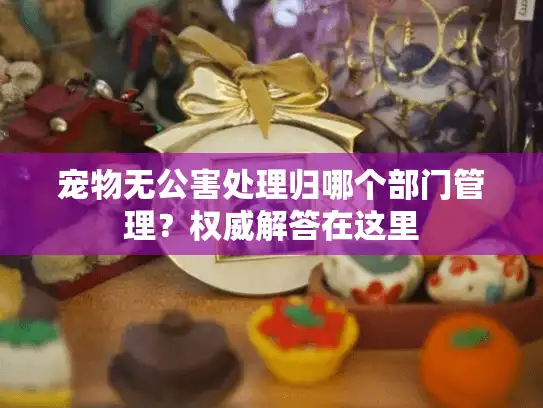 宠物无公害处理归哪个部门管理？权威解答在这里