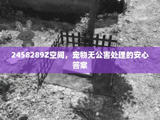 2458289Z空间，宠物无公害处理的安心答案