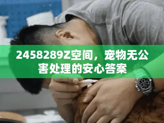 2458289Z空间，宠物无公害处理的安心答案