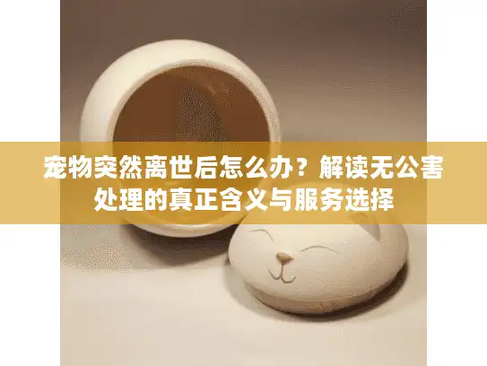 宠物突然离世后怎么办？解读无公害处理的真正含义与服务选择