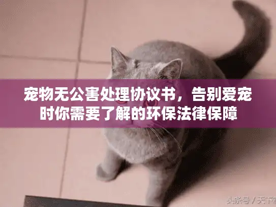 宠物无公害处理协议书，告别爱宠时你需要了解的环保法律保障