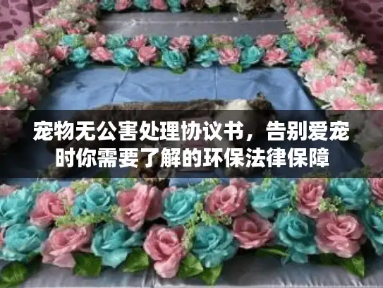 宠物无公害处理协议书，告别爱宠时你需要了解的环保法律保障