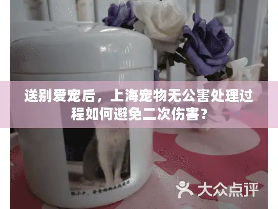 送别爱宠后，上海宠物无公害处理过程如何避免二次伤害？