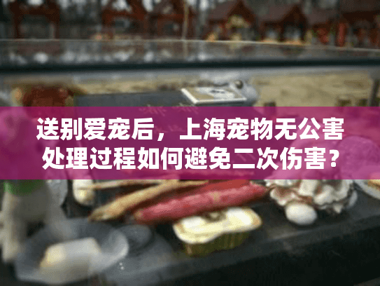 送别爱宠后，上海宠物无公害处理过程如何避免二次伤害？