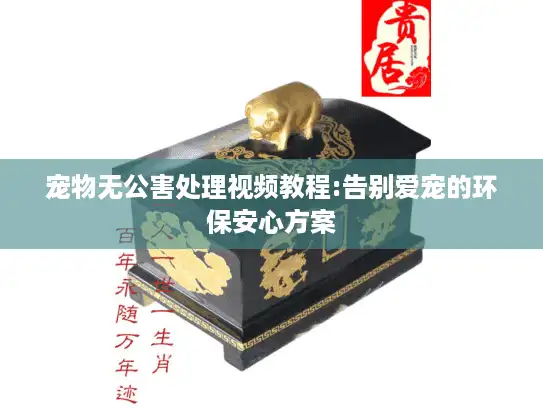 宠物无公害处理视频教程:告别爱宠的环保安心方案 宠物无公害处理视频教程:告别爱宠的环保安心方案